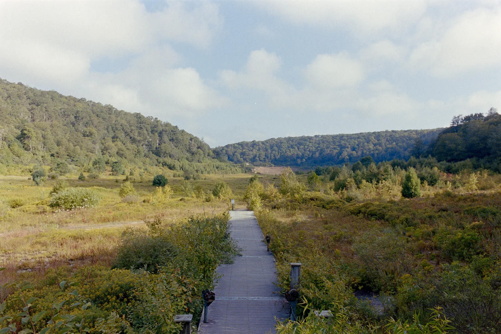 Boardwalk leading through the Mountain Lake basin at Mountain Lake Lodge
