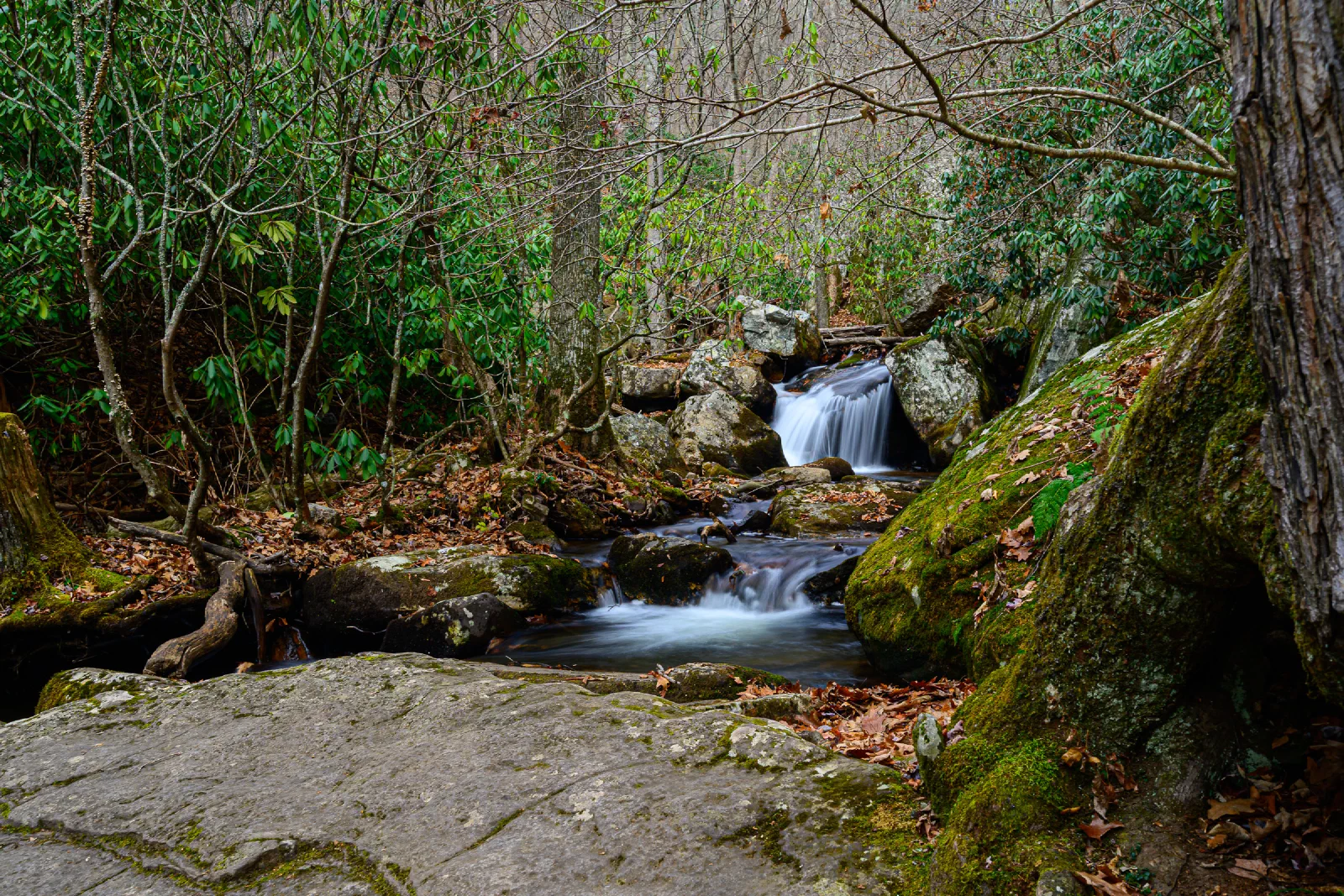 Small waterfall along the trail to Cascade Falls